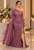 Violaine Plus Size One Shoulder Evening Gown