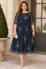 Cosette Plus Size Navy Sparkle Wedding Guest Dress