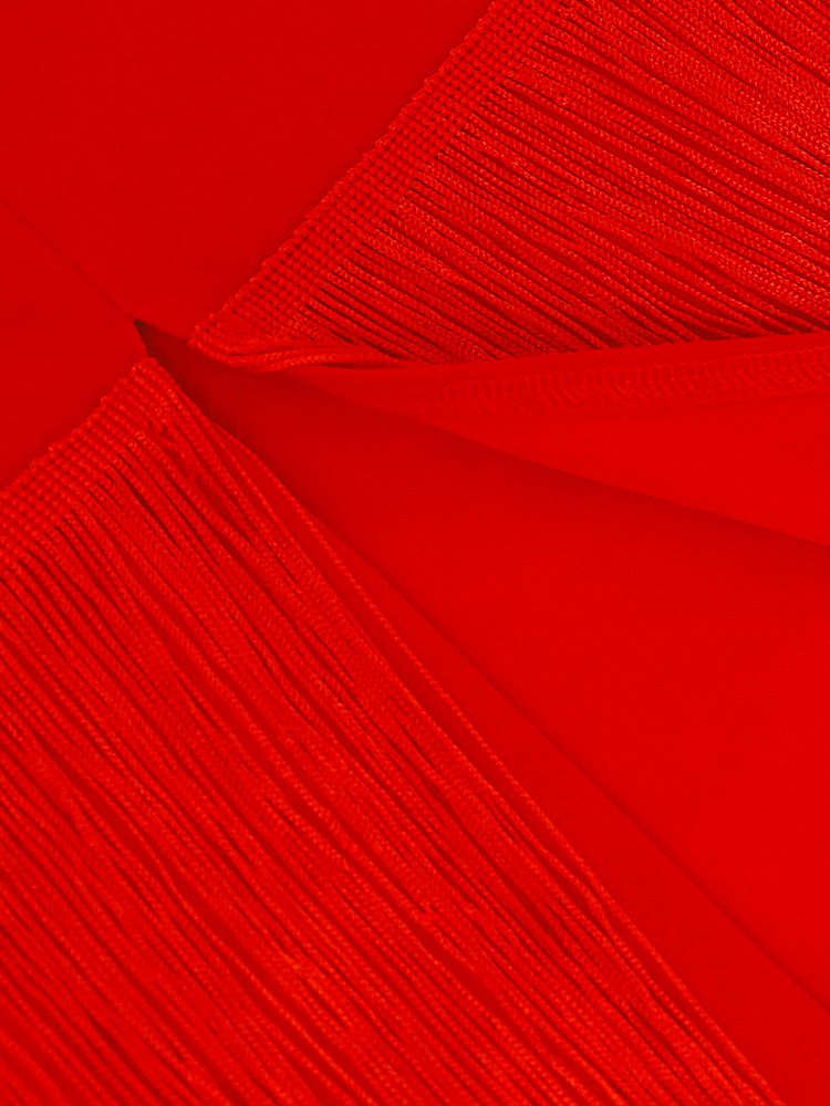 Plus Size Red Flapper Dress - Close Up