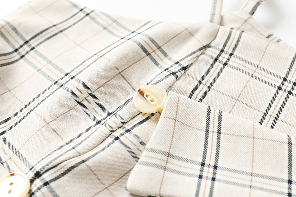 Julissa Plus Size Checks Work Dress