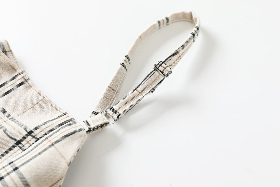 Julissa Plus Size Checks Work Dress