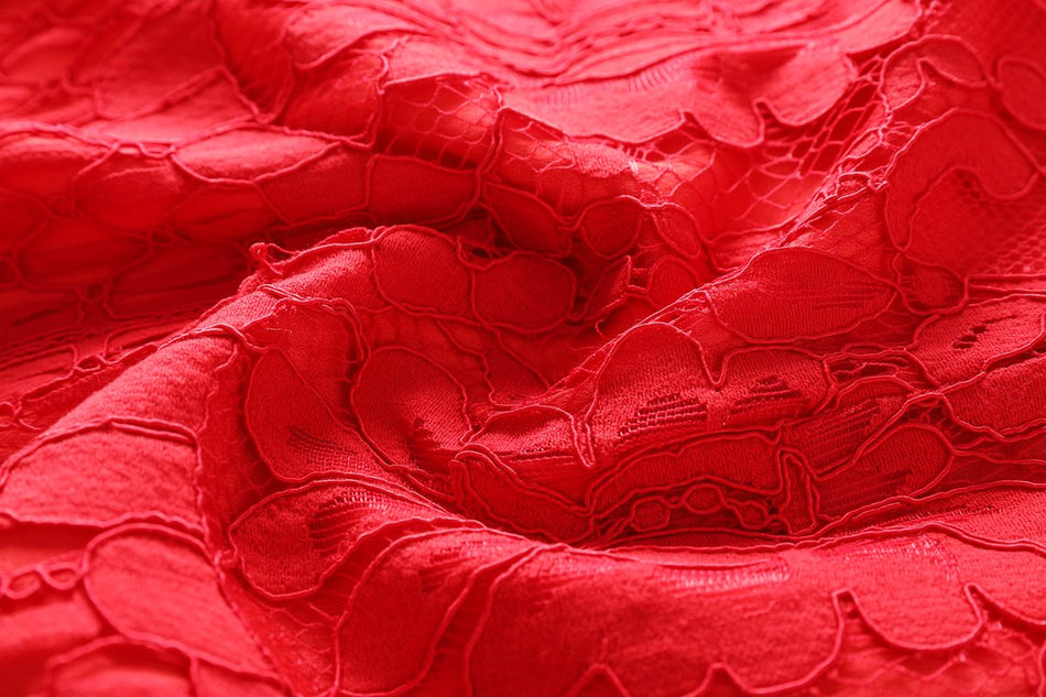 Qiana Plus Size Red Lace Cheongsam Dress