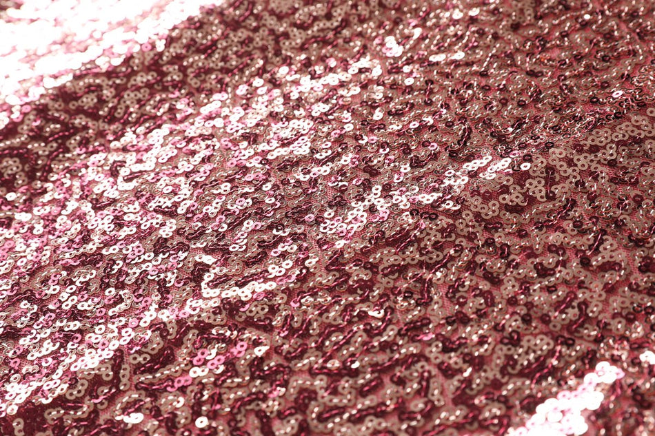 Varina Plus Size Sequin Evening Dress