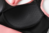 Quinlyn Plus Size High Impact Sports Bra