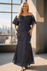 Ayva Plus Size Navy Off Shoulder Mermaid Gown