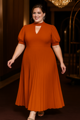 Plus Size Pleats Formal Maxi Dress - Brown