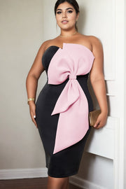 Plus Size Ribbon Tube Dress
