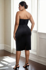 Plus Size Ribbon Tube Dress - back view