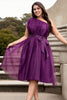 Serena Plus Size Purple Toga Tulle Dress