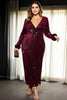 Carole Plus Size Velvet Long Sleeve Dress
