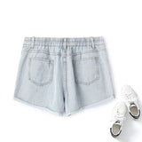 Chaya Plus Size Ripped Denim Shorts