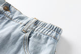 Chaya Plus Size Ripped Denim Shorts