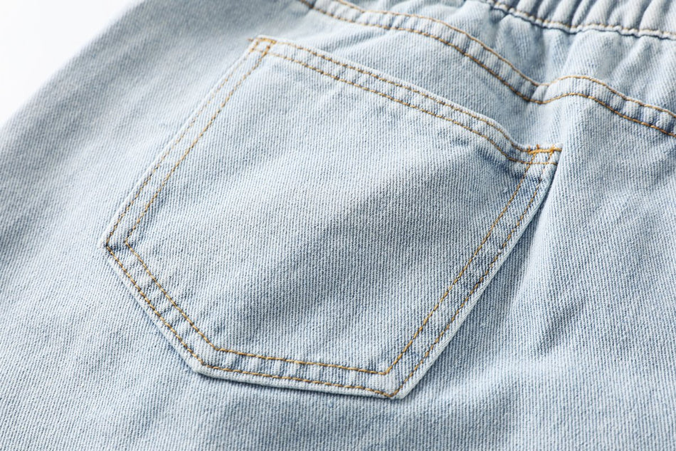 Chaya Plus Size Ripped Denim Shorts