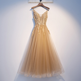Plus Size Champagne Tulle Gown