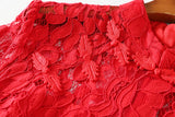 Qiana Plus Size Red Lace Cheongsam Dress