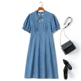 Plus Size Denim Cheongsam