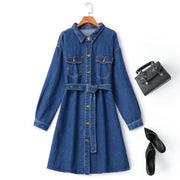 Plus Size Denim Shirt Dress