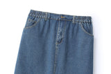 Elise Plus Size Denim Skirt