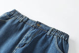 Elise Plus Size Denim Skirt