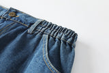 Elise Plus Size Denim Skirt