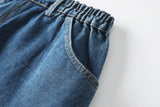 Elise Plus Size Denim Skirt