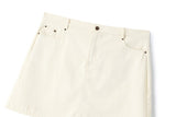 Tianna Plus Size Mini Skirt