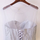 Plus Size Silver Evening Gown - Back Close Up