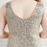 Desiree Plus Size Silver Gown