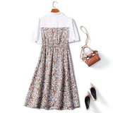 Plus Size Vintage Floral Dress